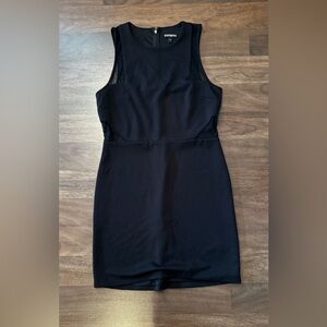 Express Black Sleeveless Fitted Dress with Sheer Detail